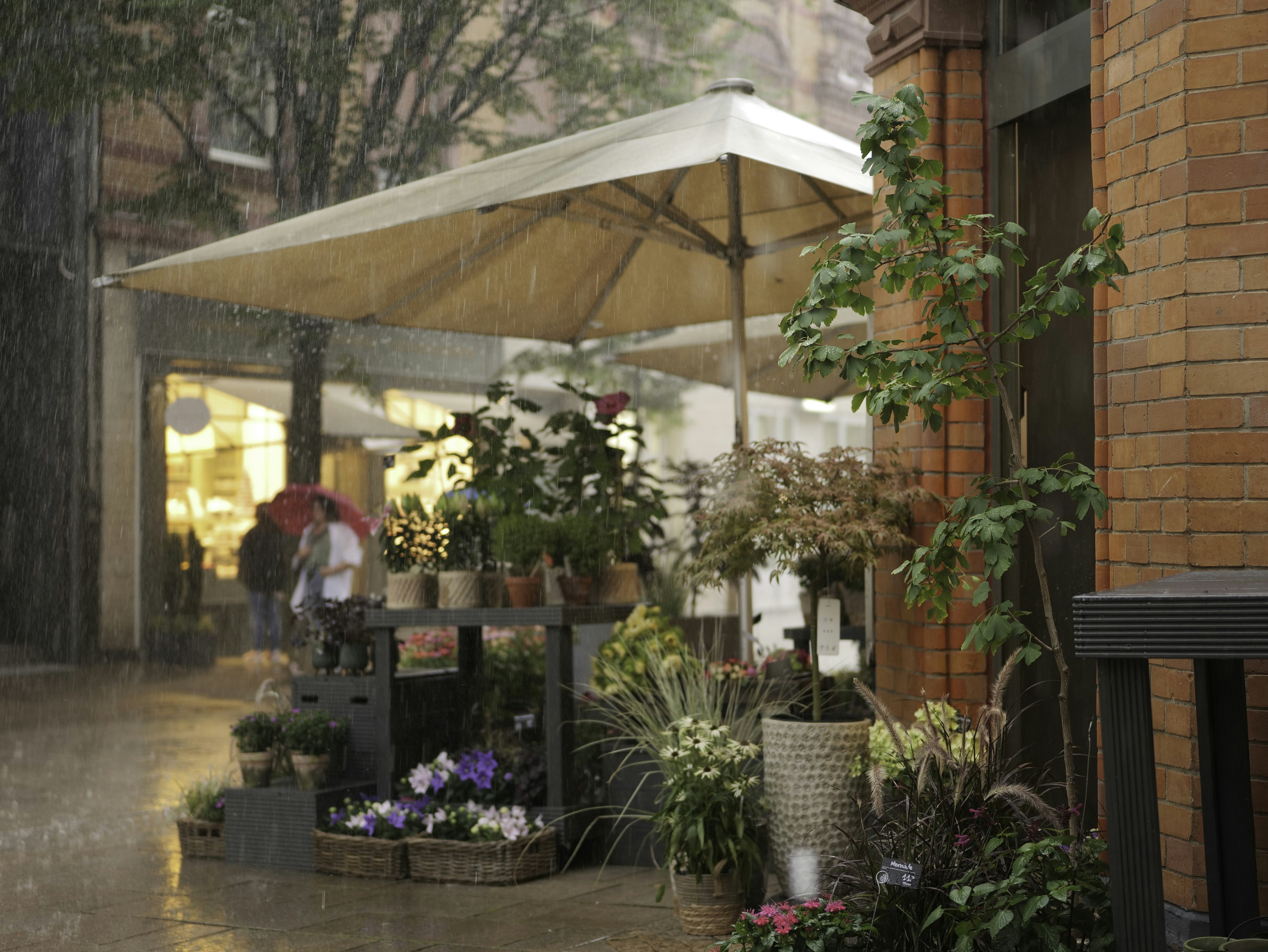 Photo by lillit_photography