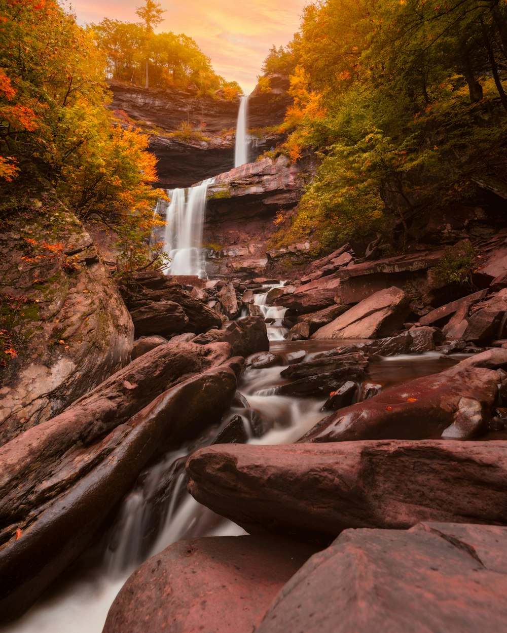 a waterfall in the middle of a forest