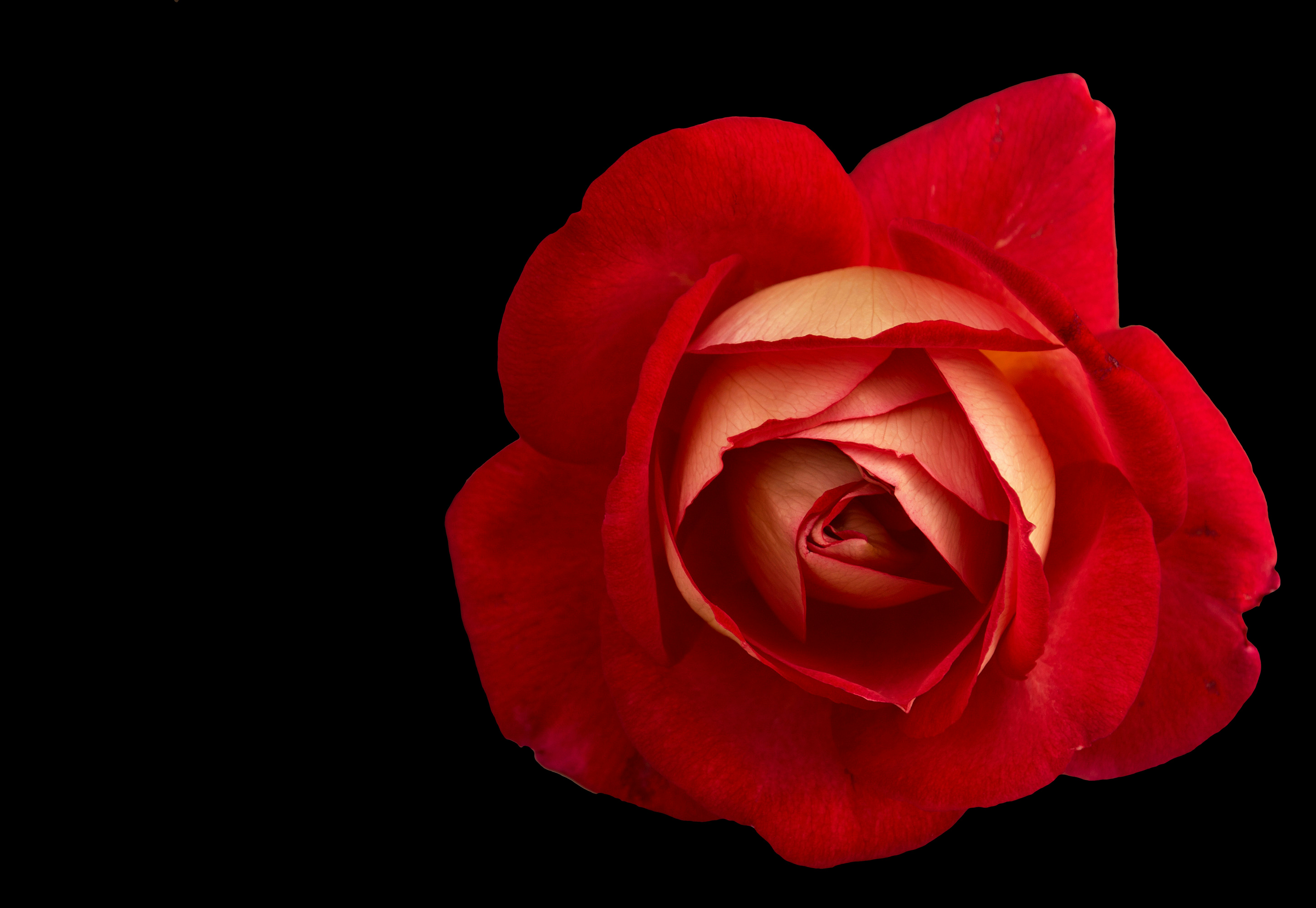 Photo by mariobeducci