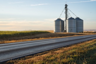 A rural landscape featuring three large silver grain silos near a paved road. The silos are set against a backdrop of open fields, with green crops on one side of the road and dry grass on the other. The sky is mostly clear with some light clouds, and the sun casts a warm light creating long shadows.
