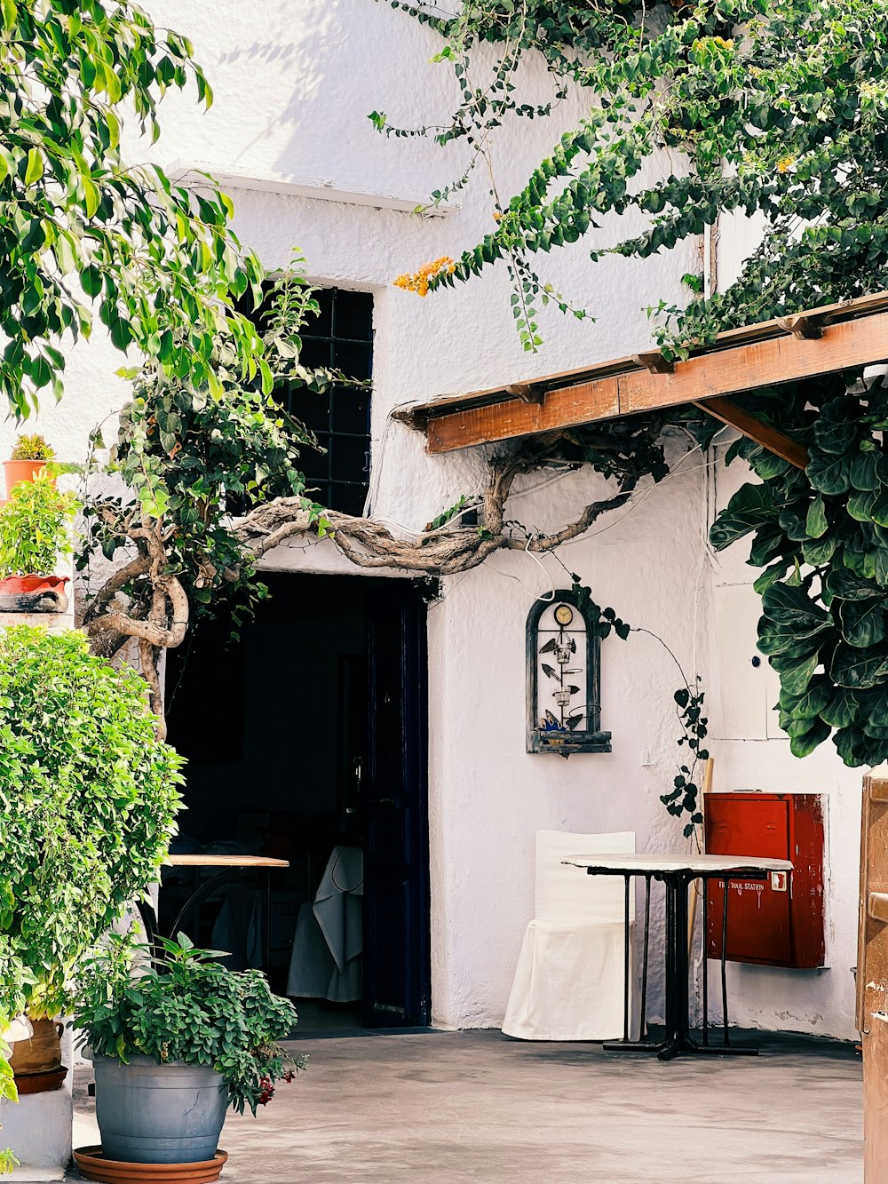 eine Terrasse mit Topfpflanzen und einem Tisch