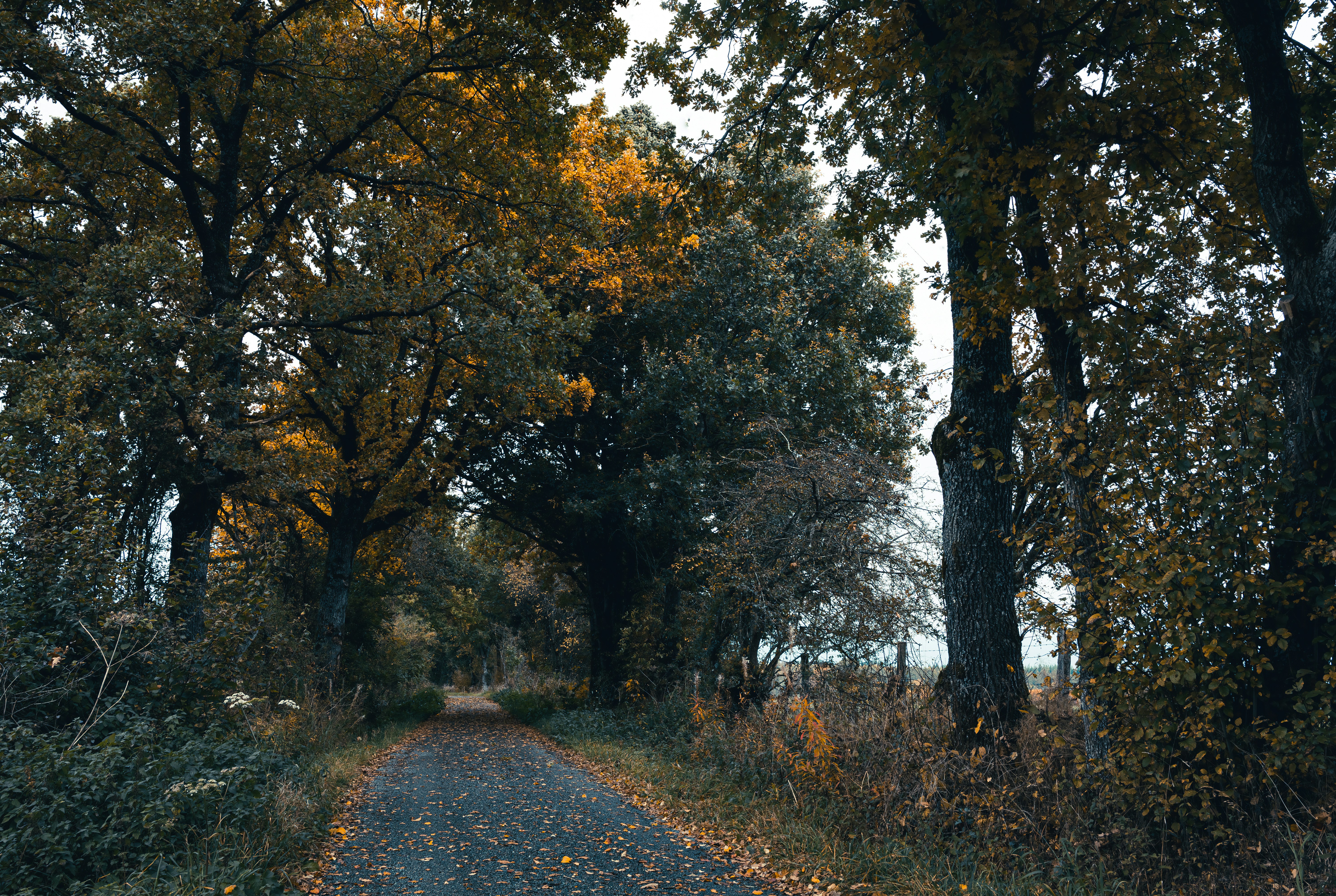 Photo by myriamzilles