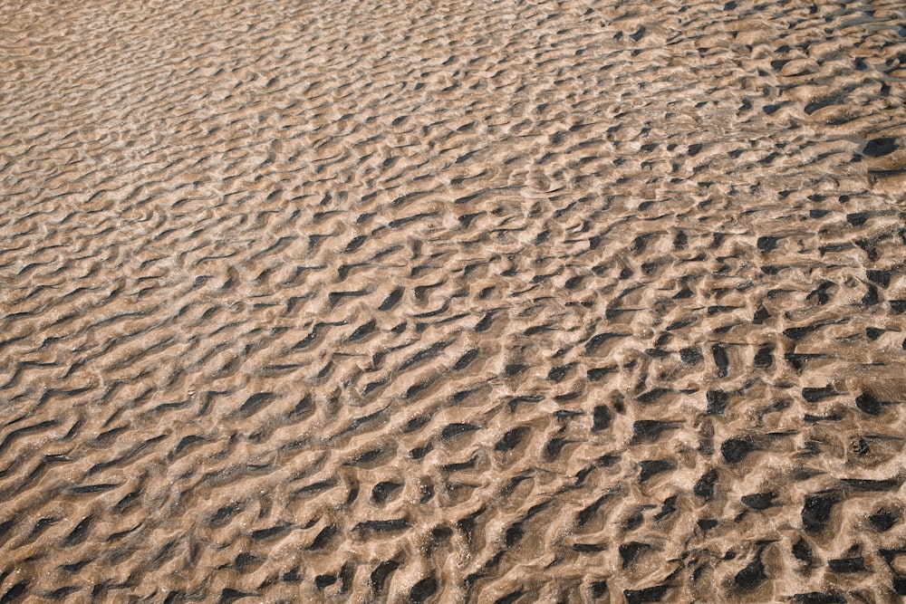 a sandy beach with footprints in the sand