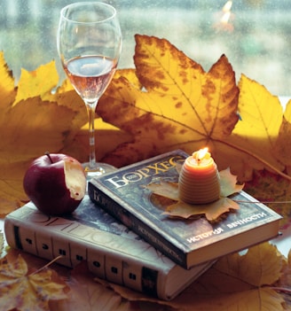a glass of wine and a book on a window sill