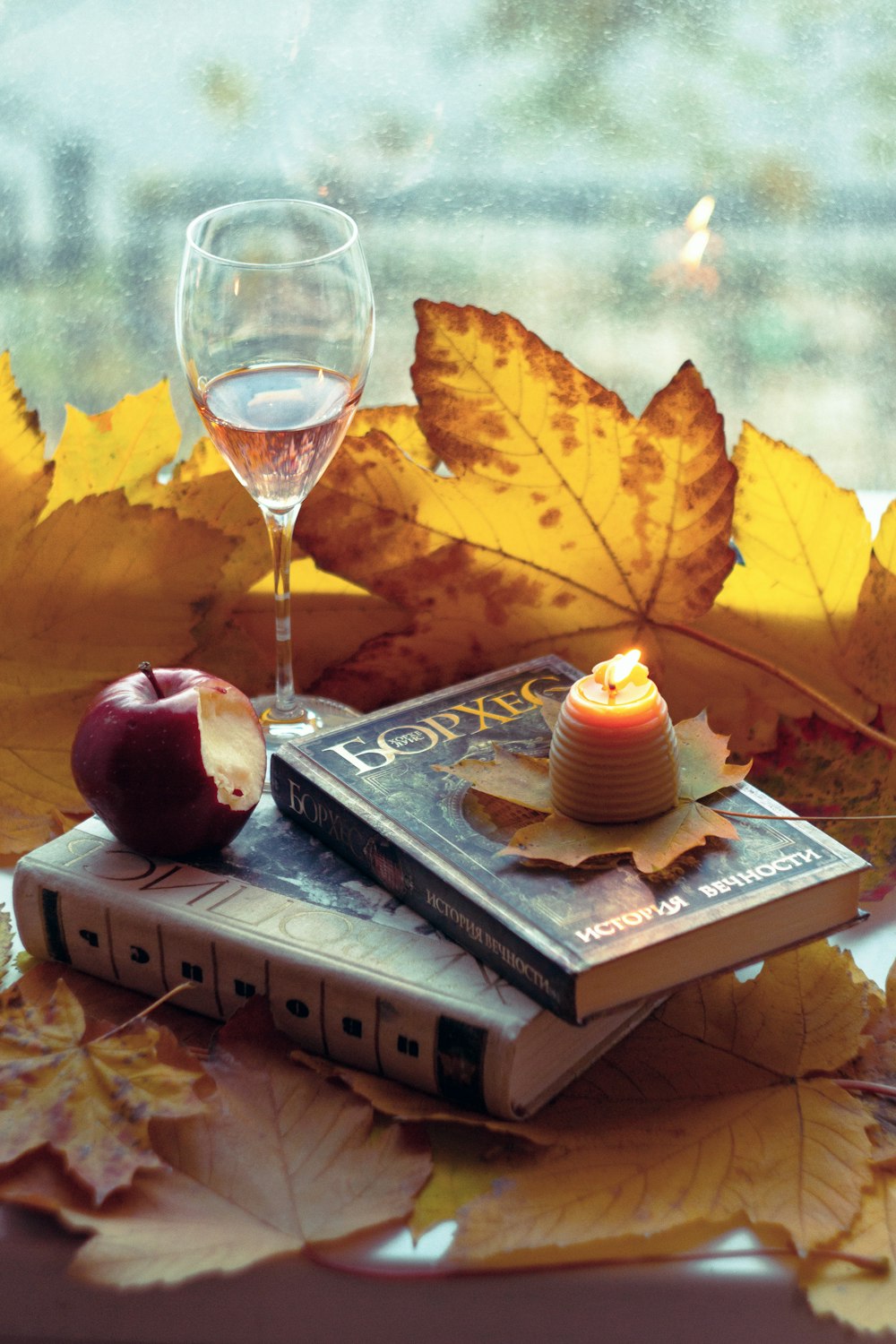 a glass of wine and a book on a window sill