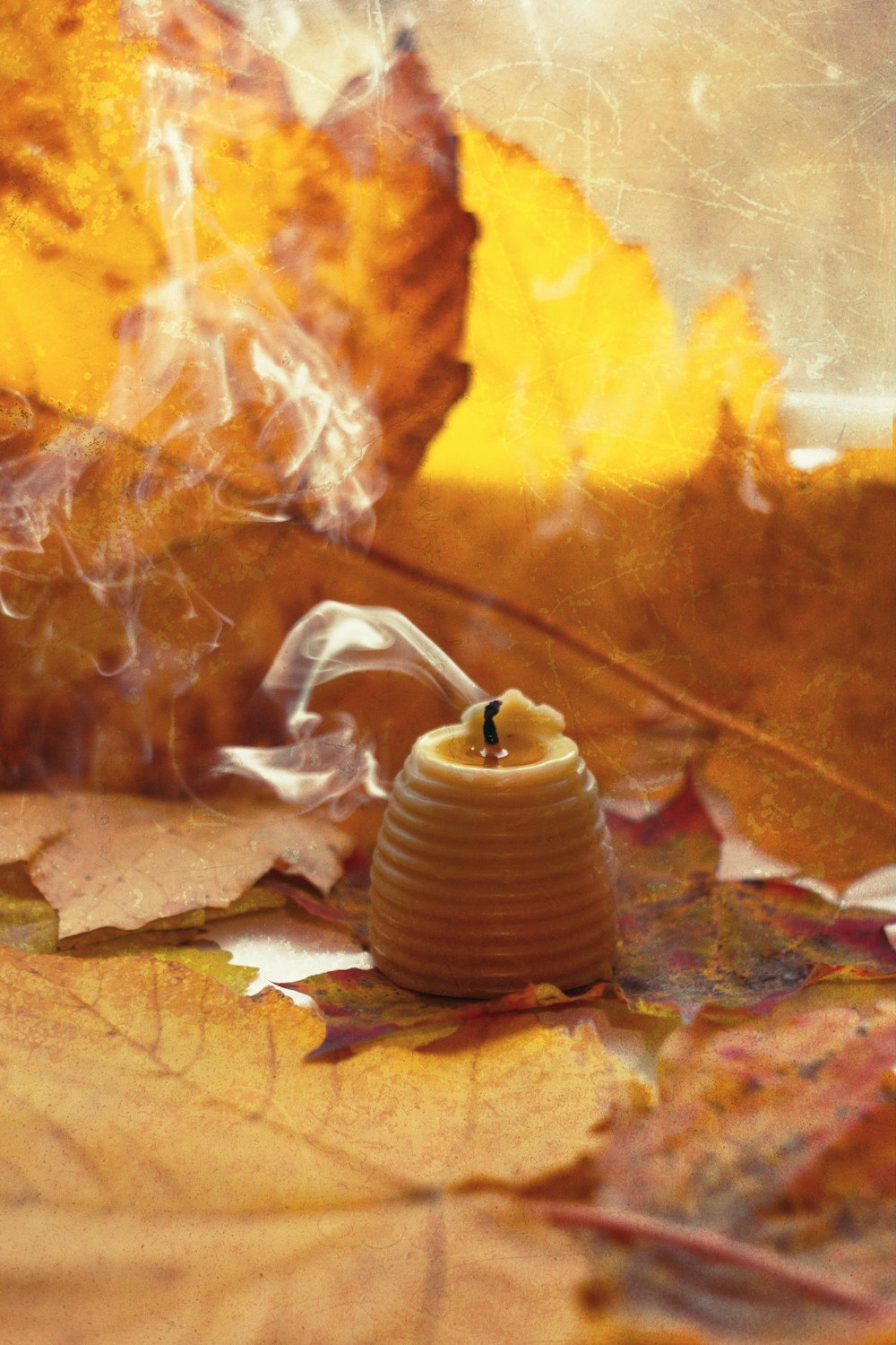 a honey jar sitting on top of a pile of leaves