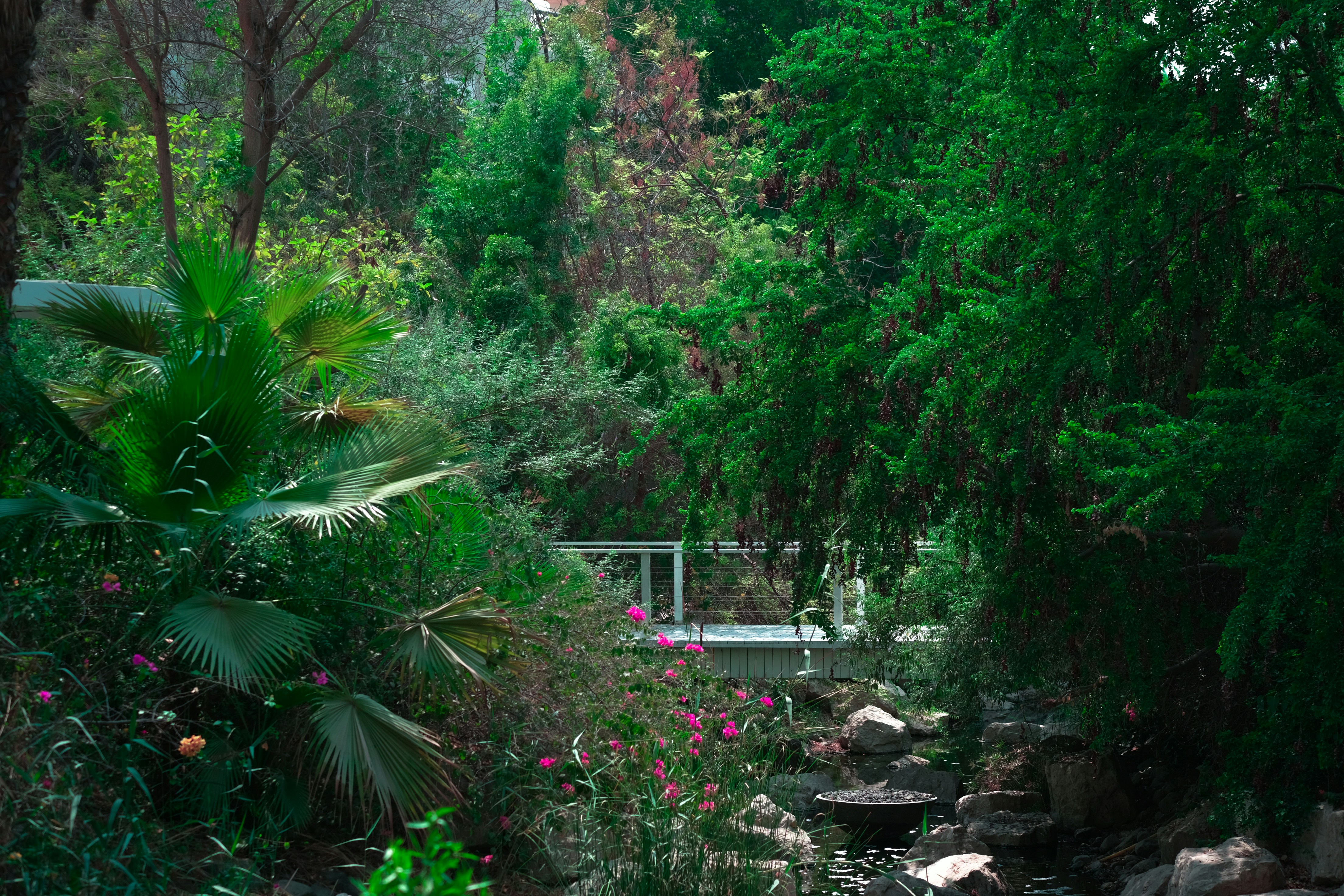 Photo by mo_design_3d