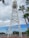 A tall, white water tower with a logo featuring a silhouette of a coyote on an orange background. The structure is constructed with a metal framework and is positioned prominently against a partly cloudy sky. Palm trees flank the sides, and there is fencing around the base of the tower. In the background, there are other trees and some buildings, possibly indicating an urban environment.