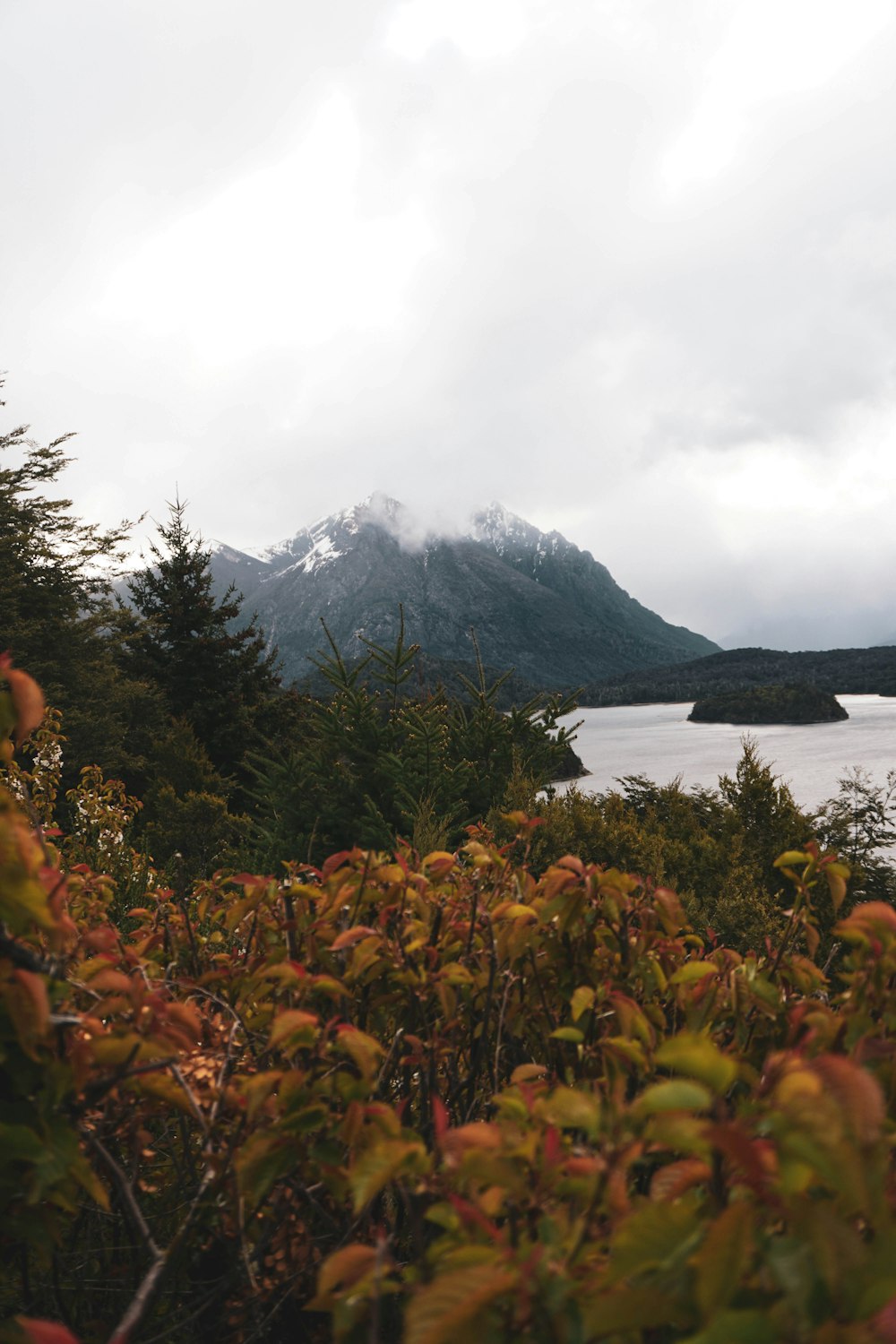 a view of a lake surrounded by trees and mountains