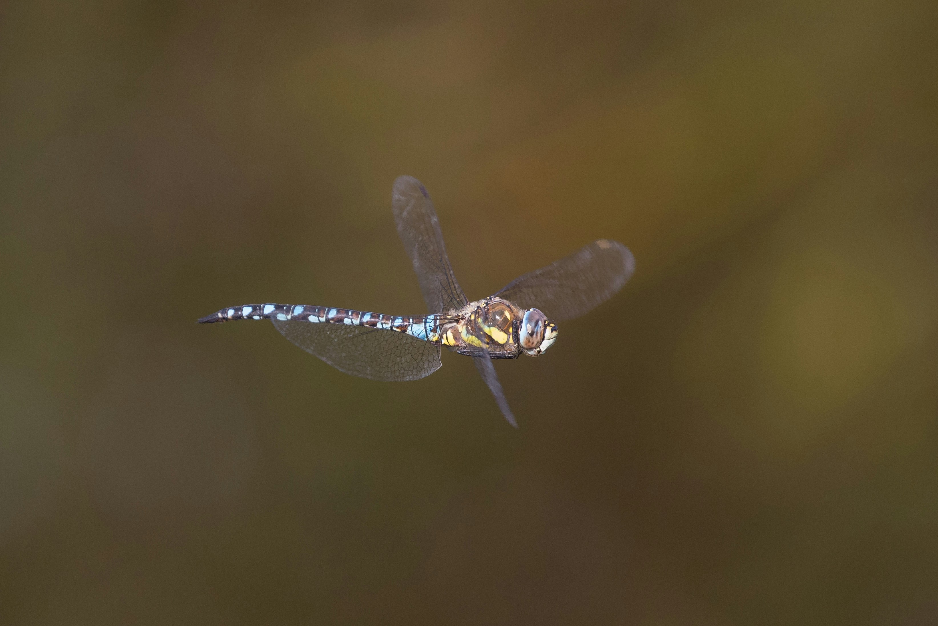 Photo by deepreality