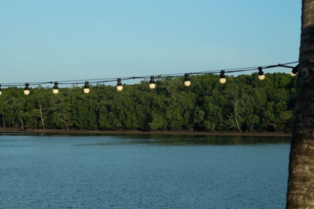 Ein Haufen Lichter, die über einem Gewässer hängen