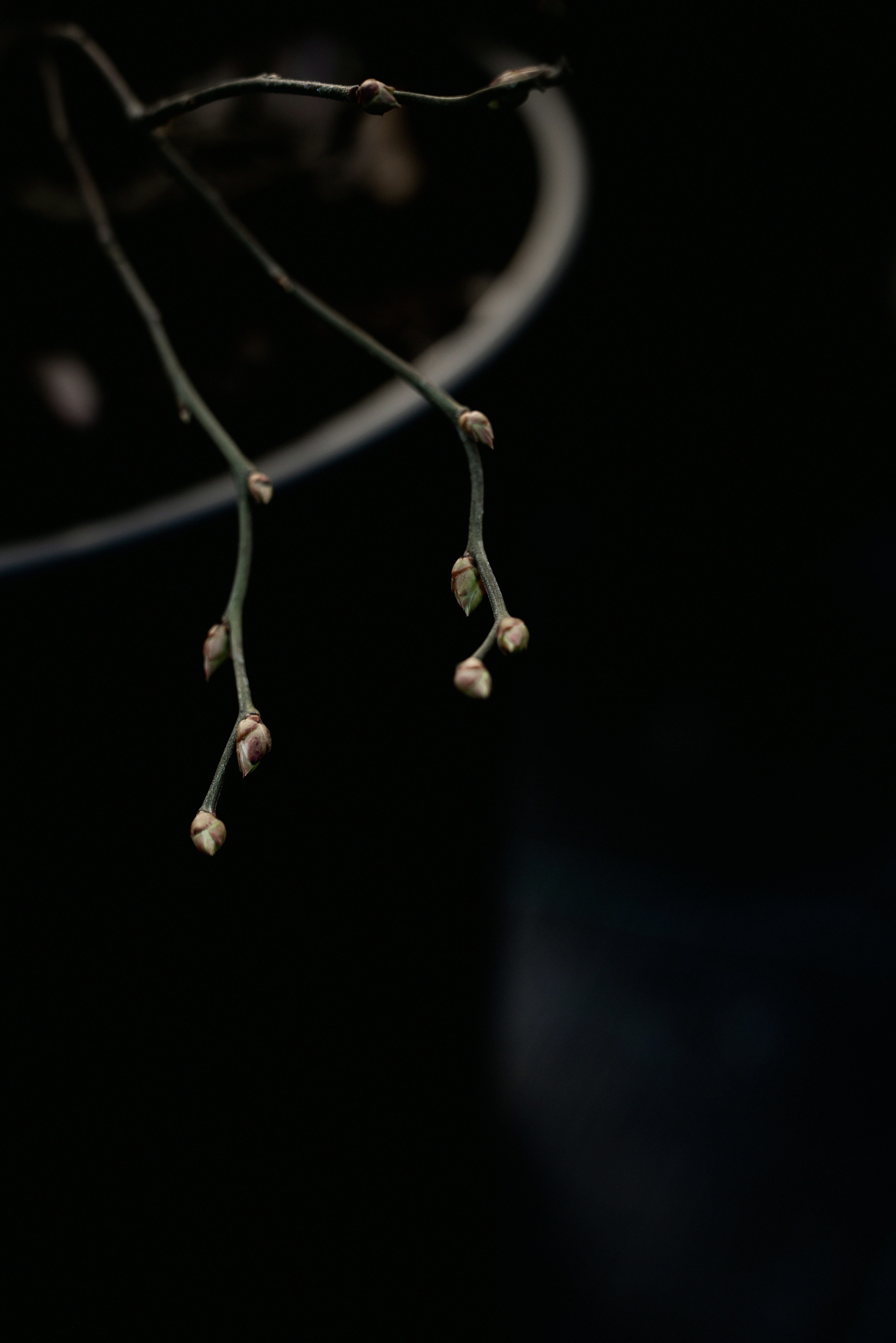 Photo by lauraadaiphoto