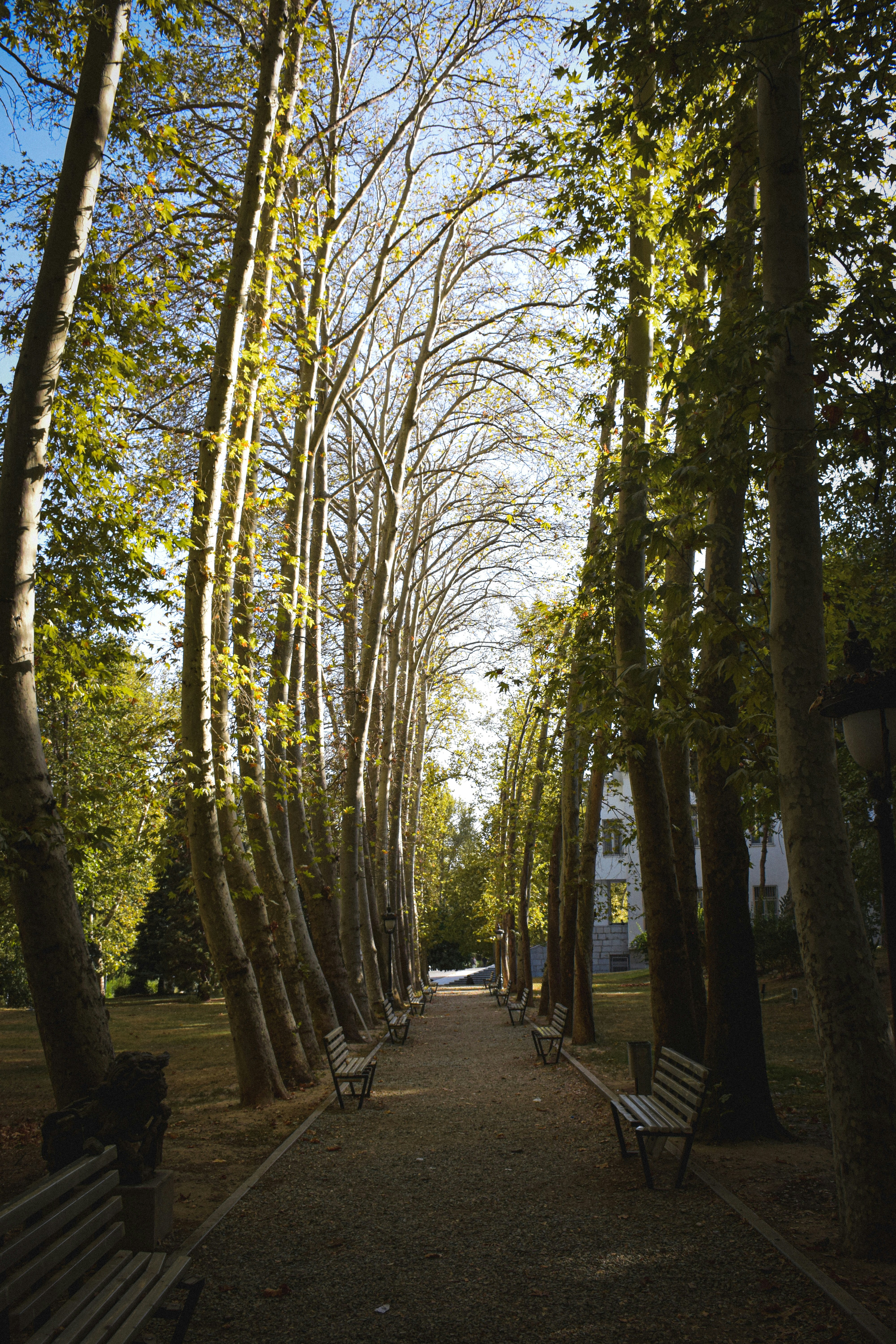 Photo by salarkaazemi