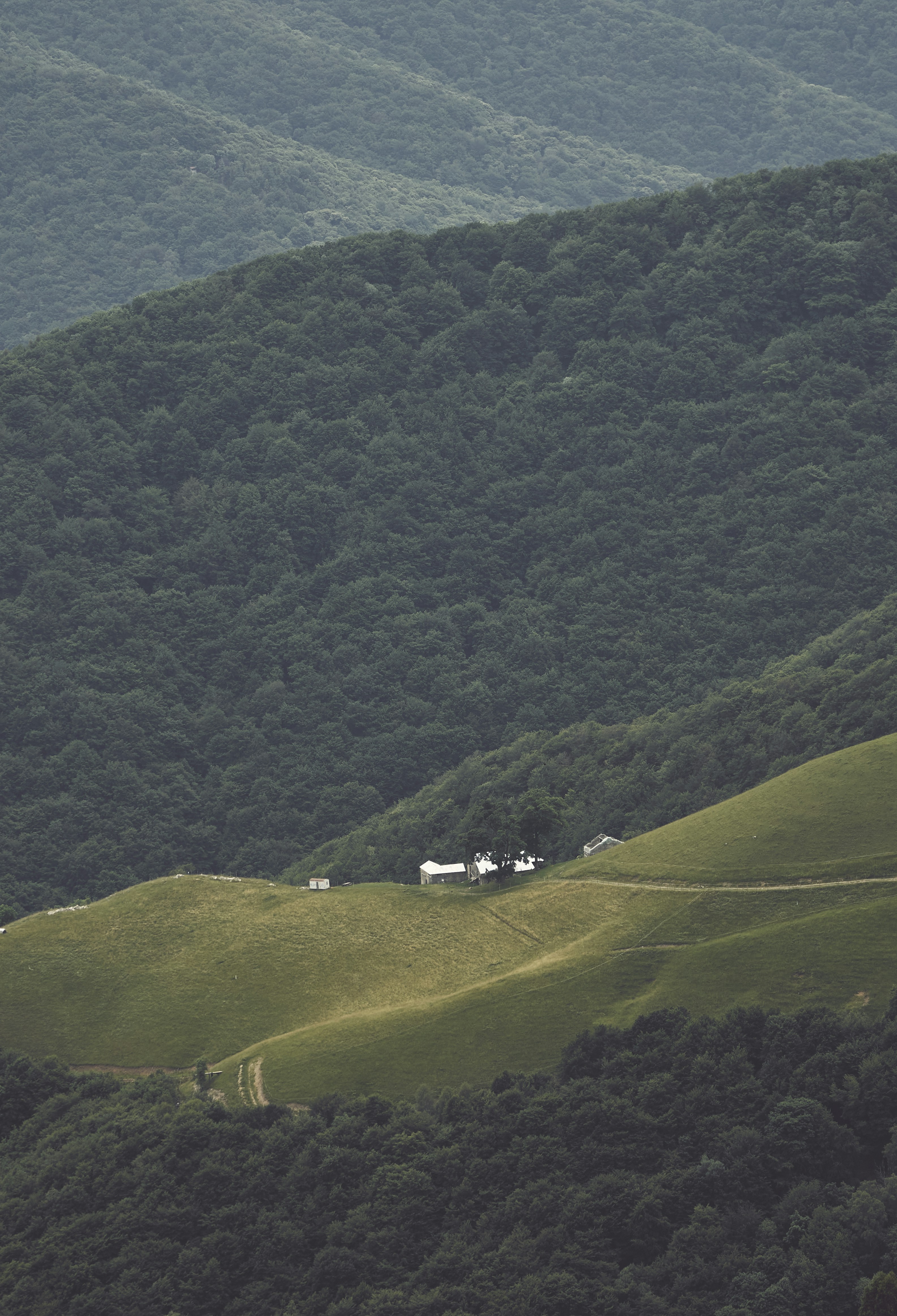 a hill with a house on top of it