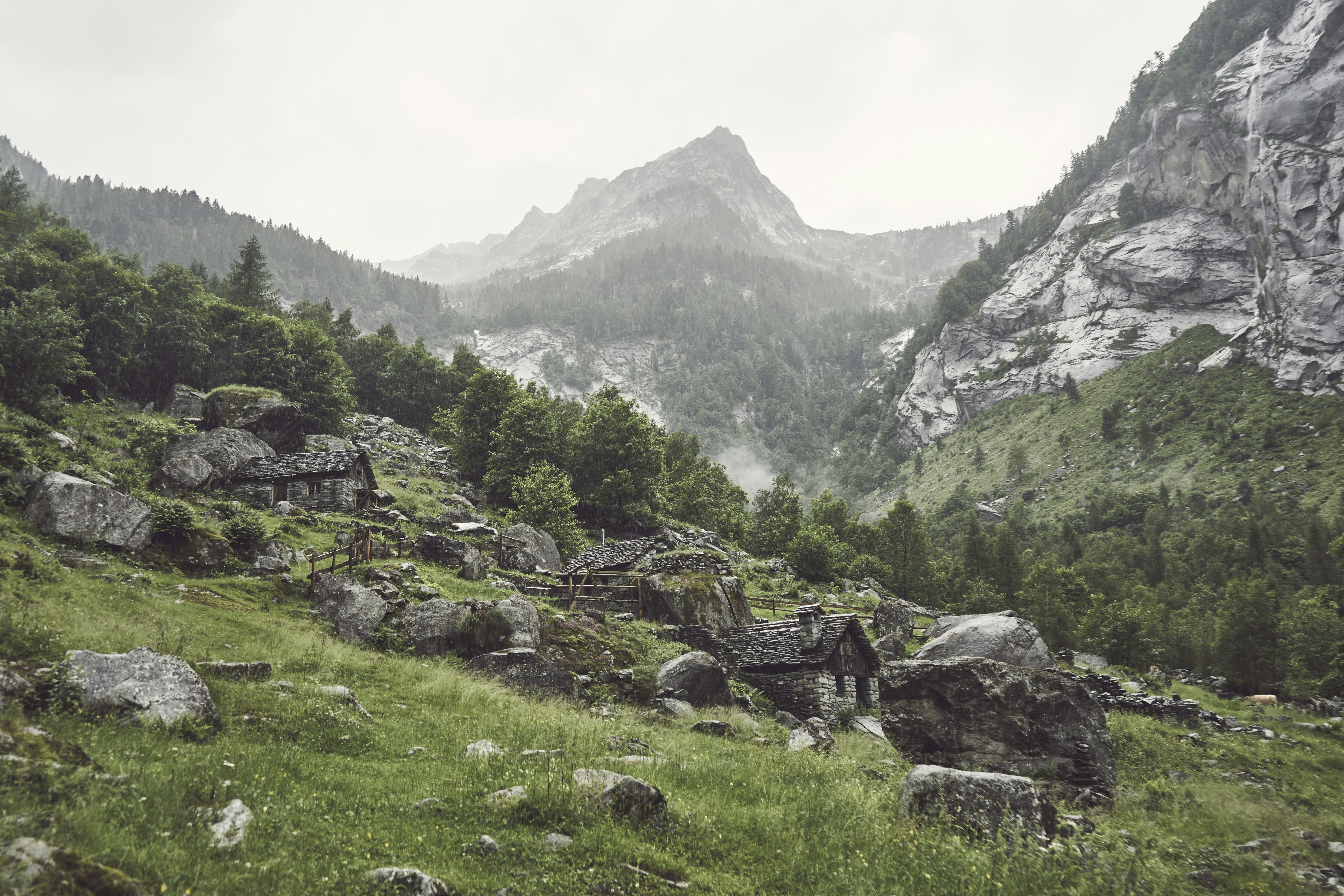 a rocky hillside with trees and rocks in the foreground