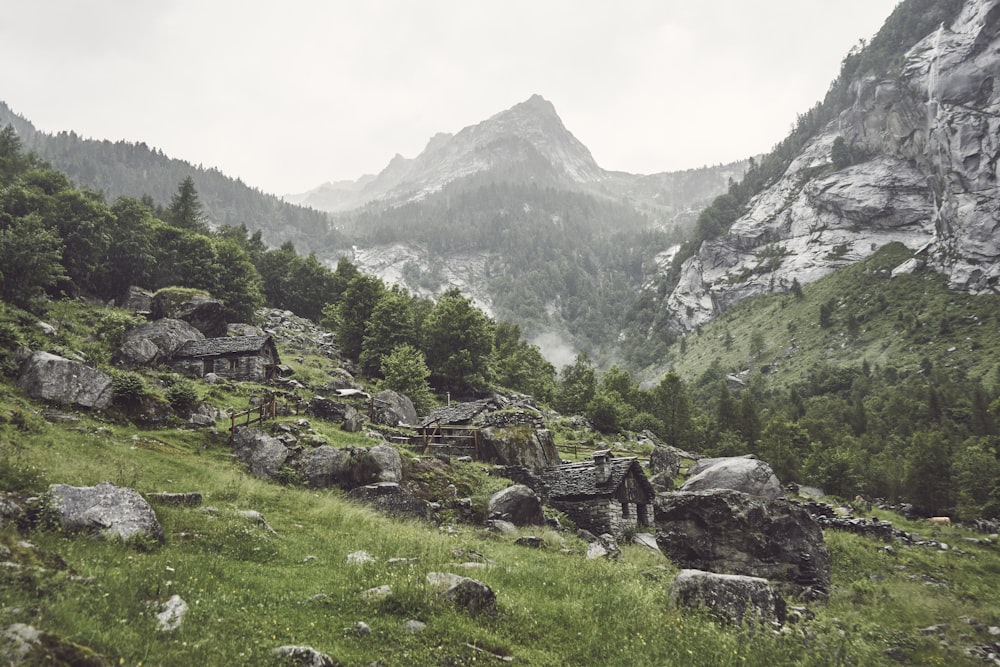 a rocky hillside with trees and rocks in the foreground