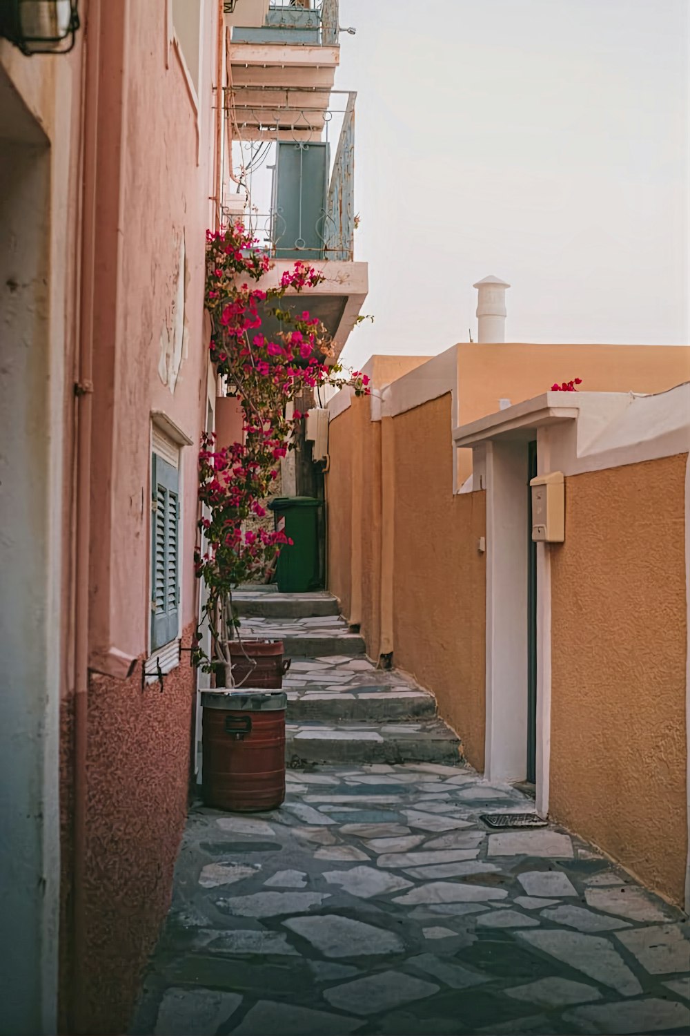 a narrow alley way with flowers growing on it