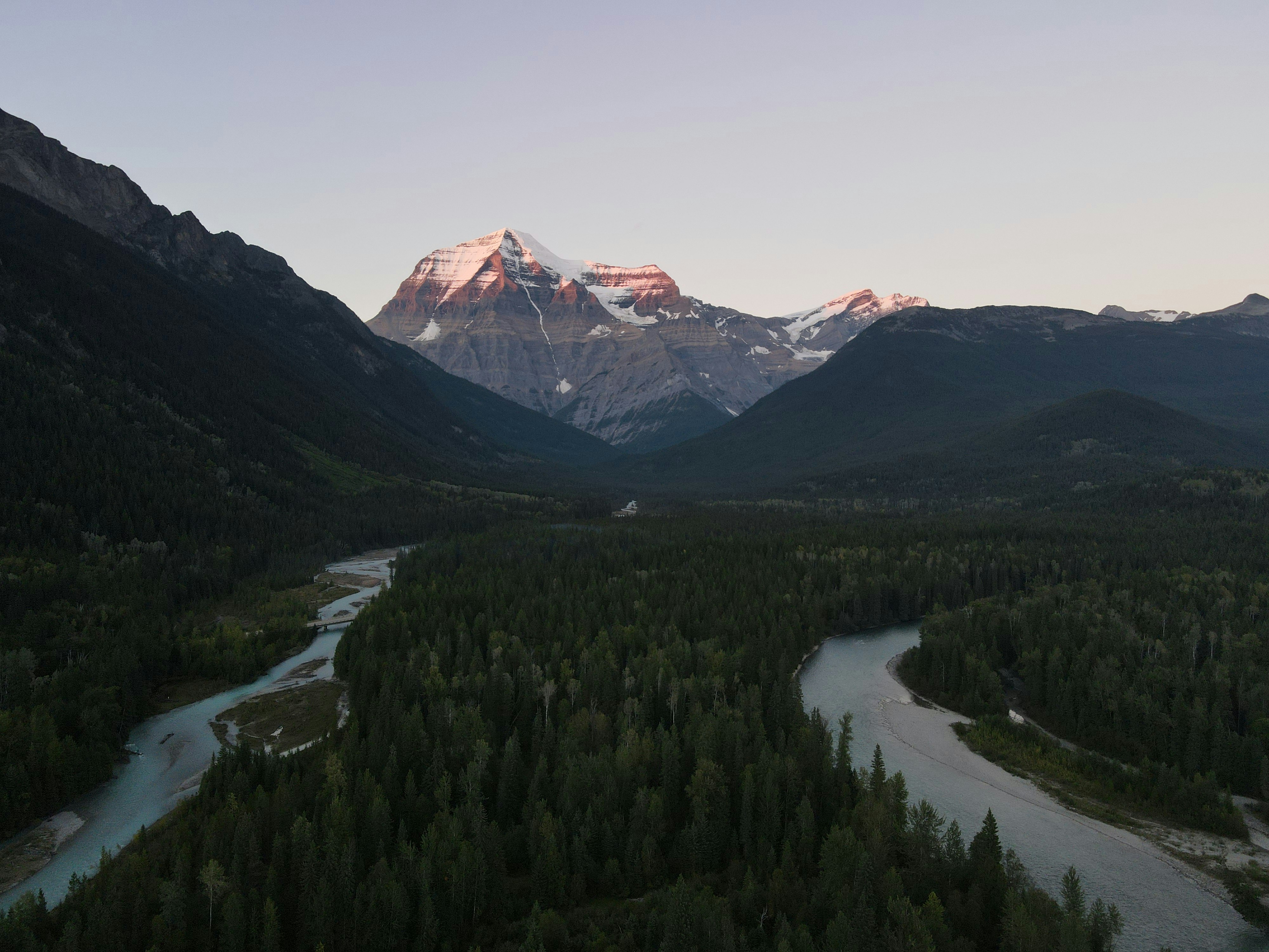 Ein Fluss, der durch einen üppigen grünen Wald fließt