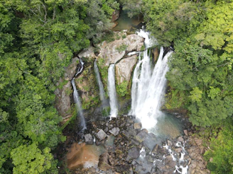 a waterfall in the middle of a forest