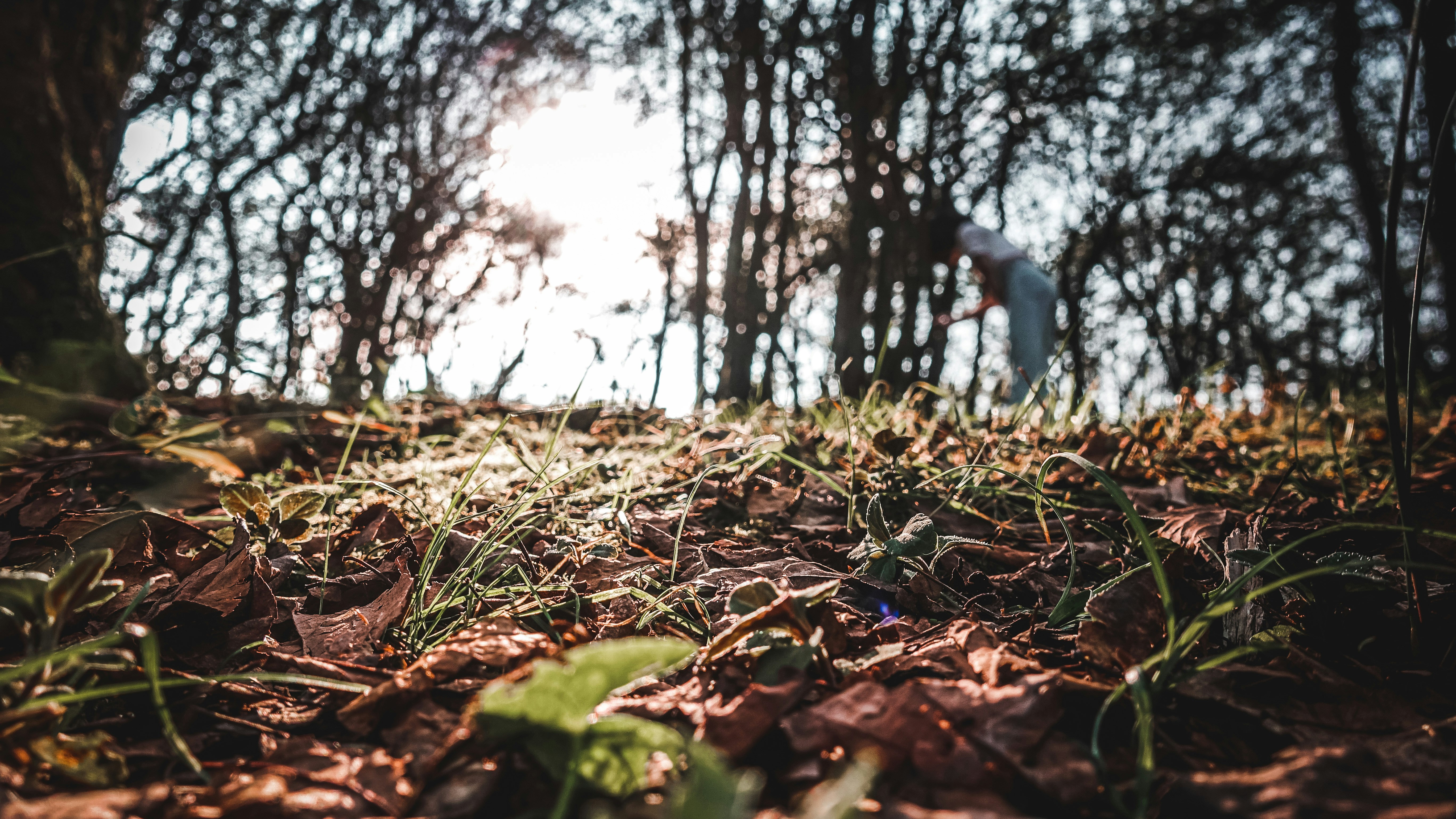 Photo by hypocriteeeee