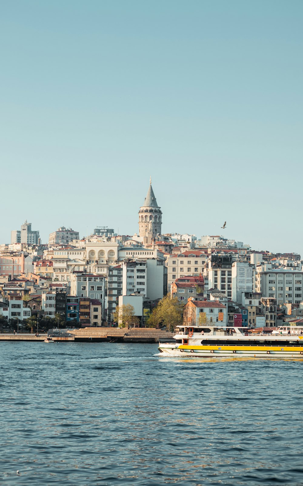 a large body of water with a city in the background