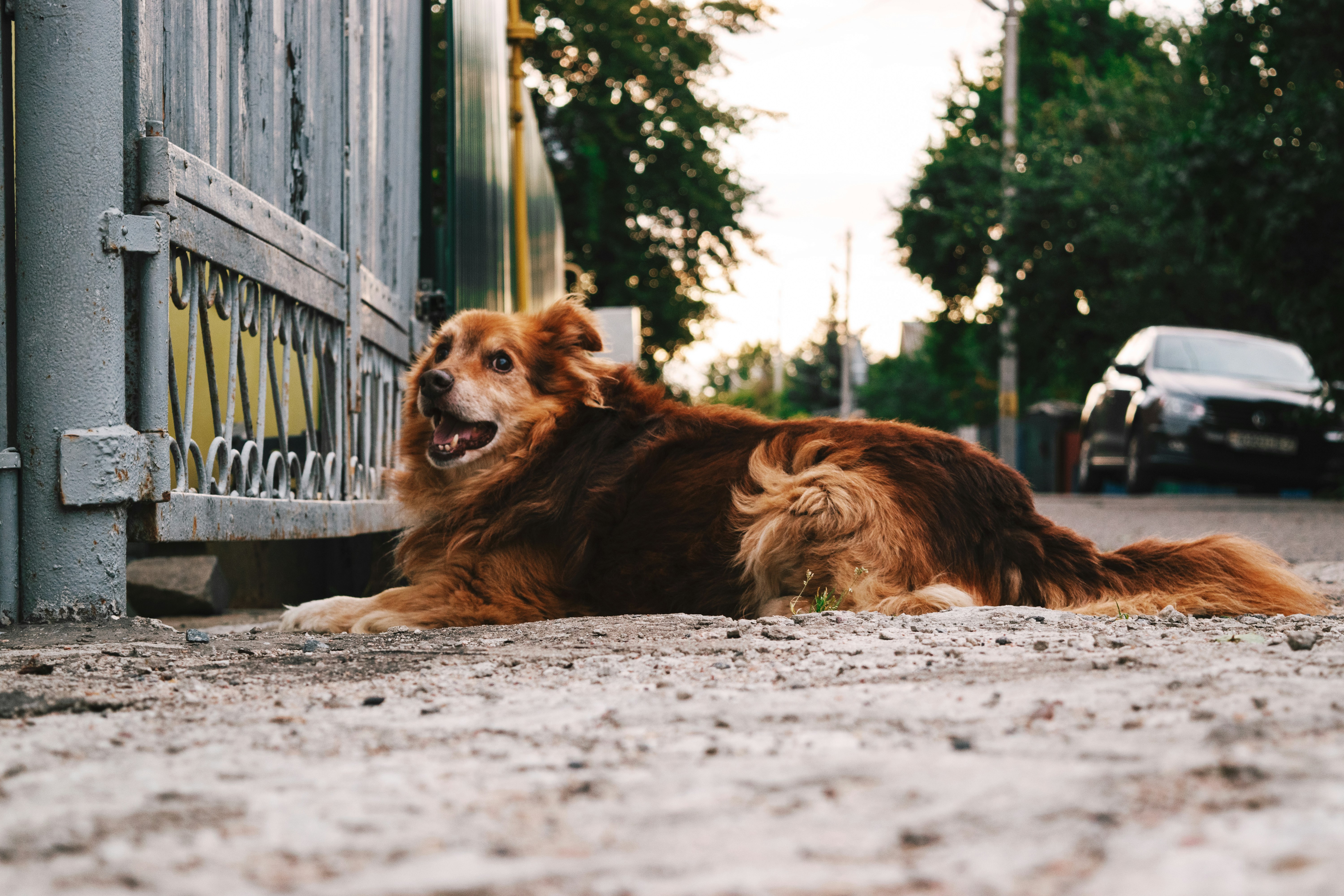 Photo by victoria_tihonovich