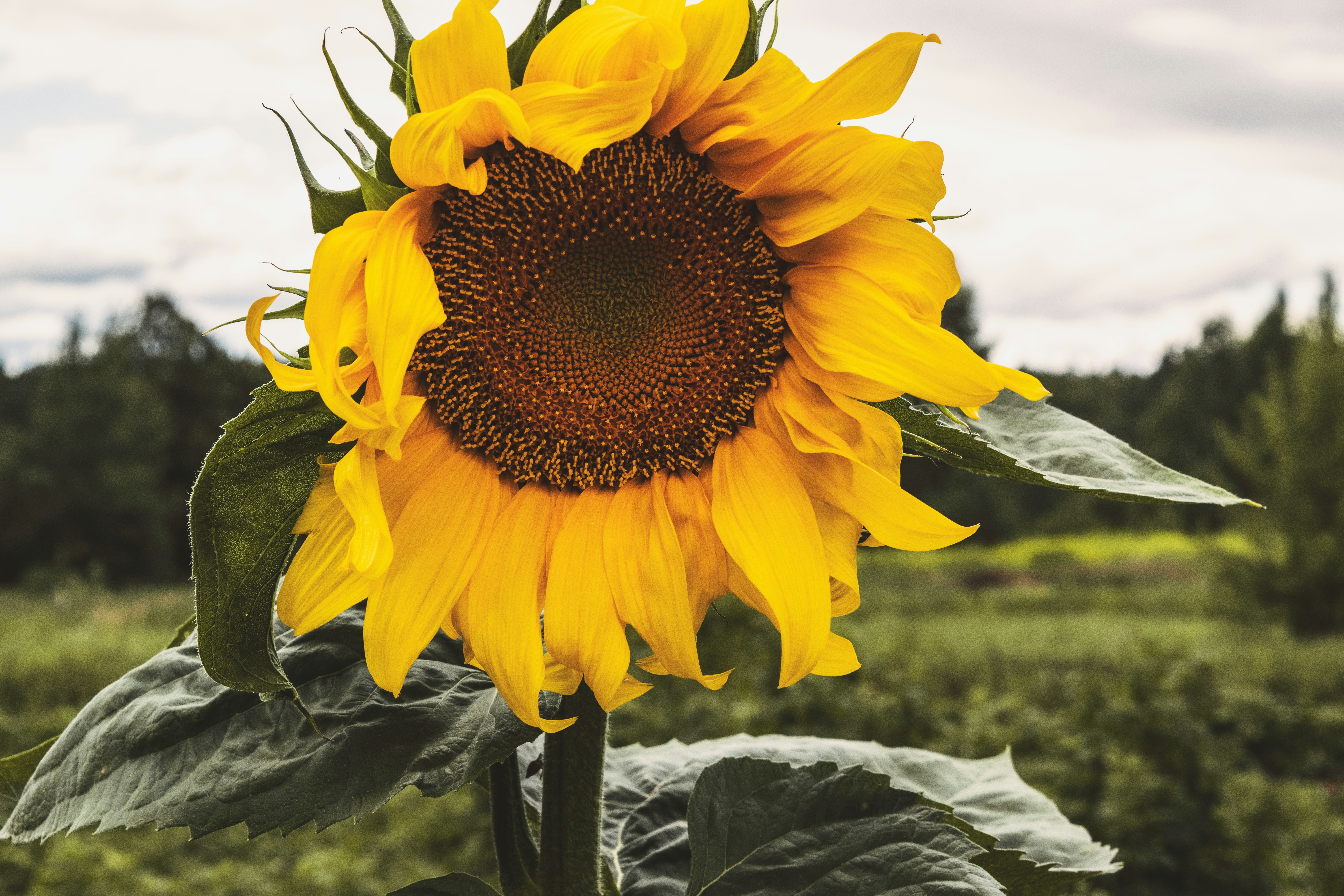 Photo by victoria_tihonovich