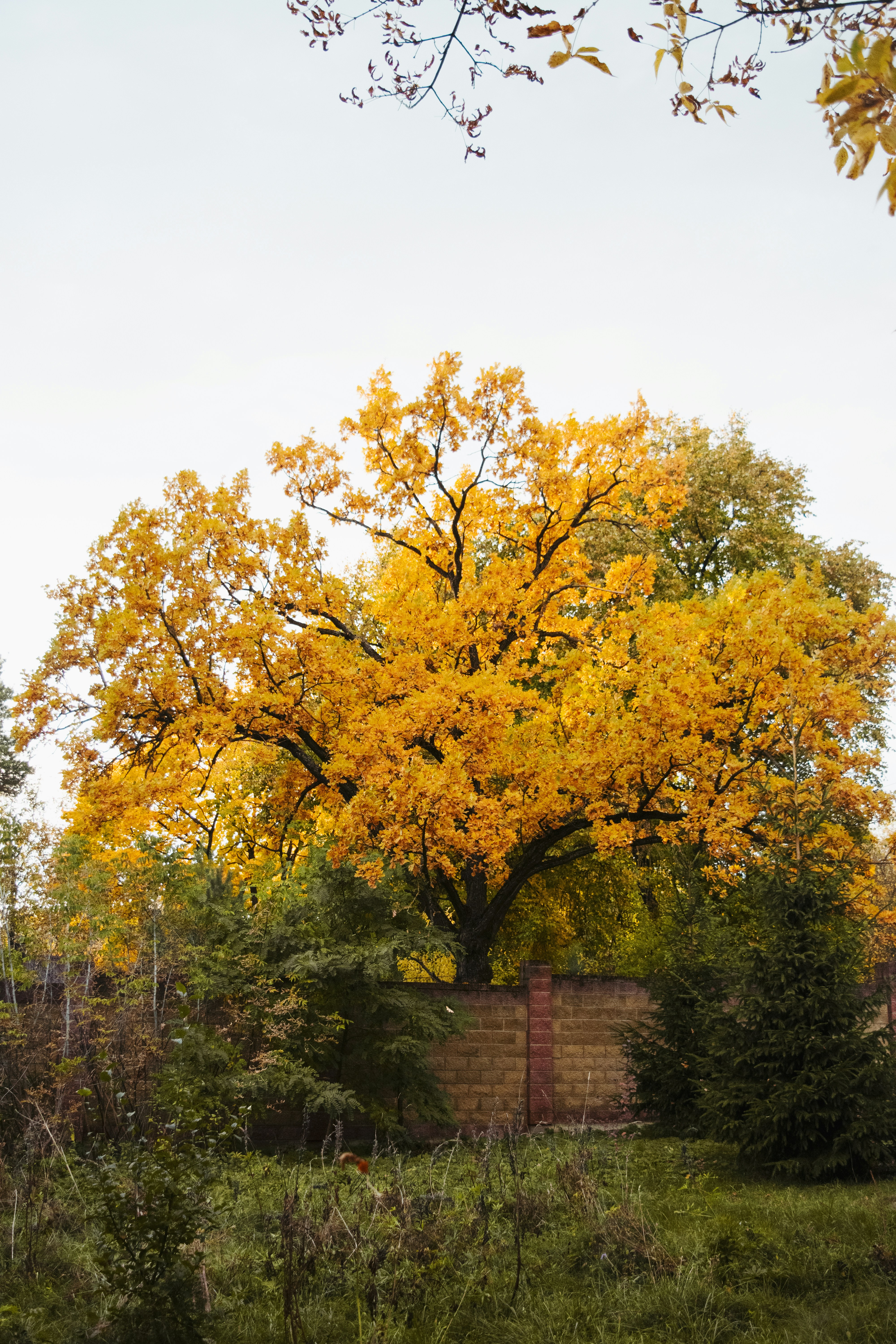 Photo by victoria_tihonovich