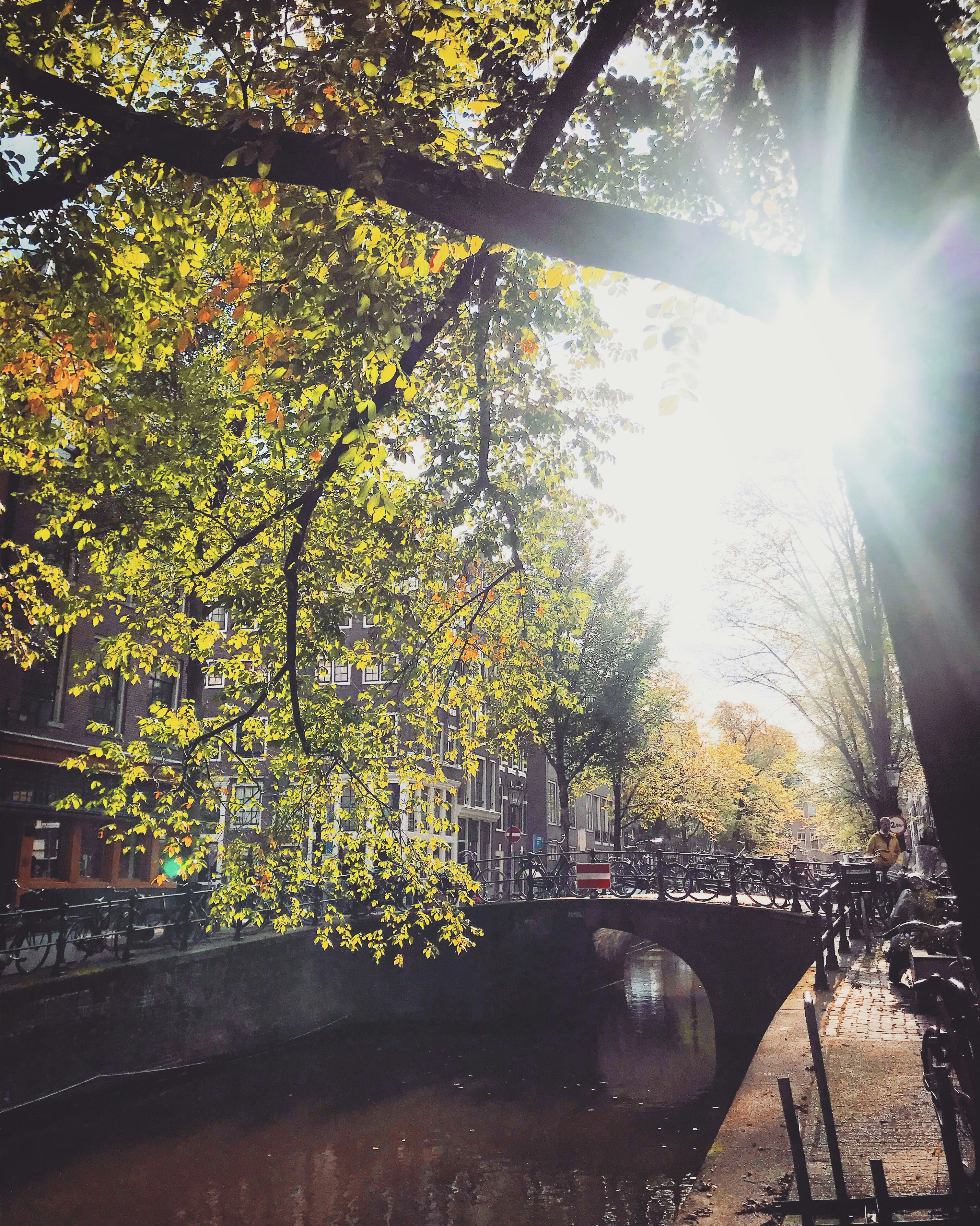 Netherlands