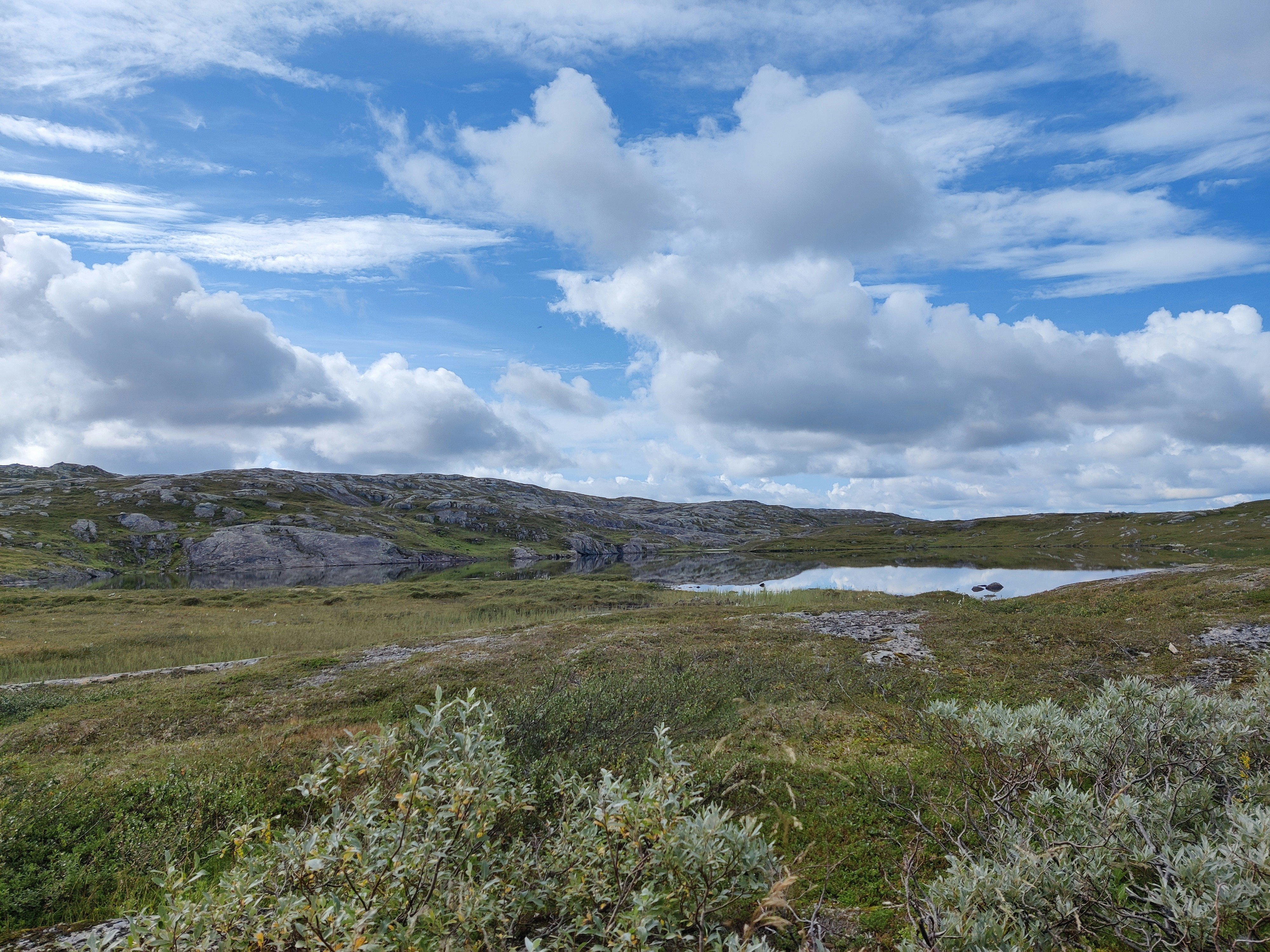 Photo by lukasmineman