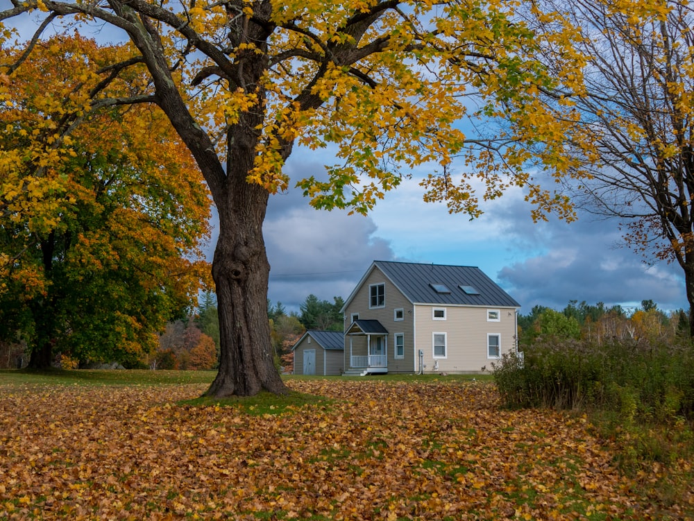 a white house surrounded by trees and leaves