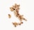 a group of wine corks arranged in the shape of a lizard