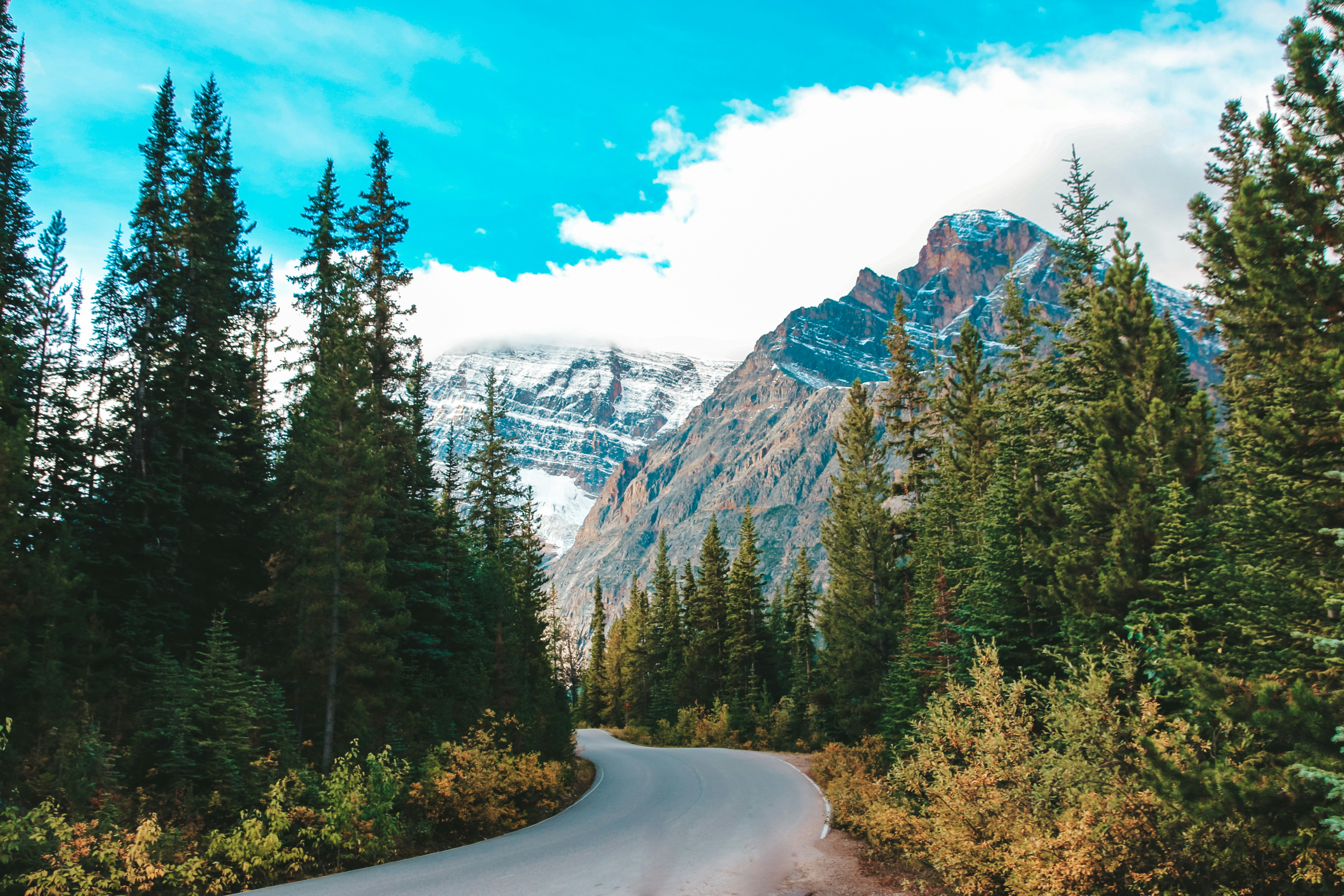 Photo by becca_hembree