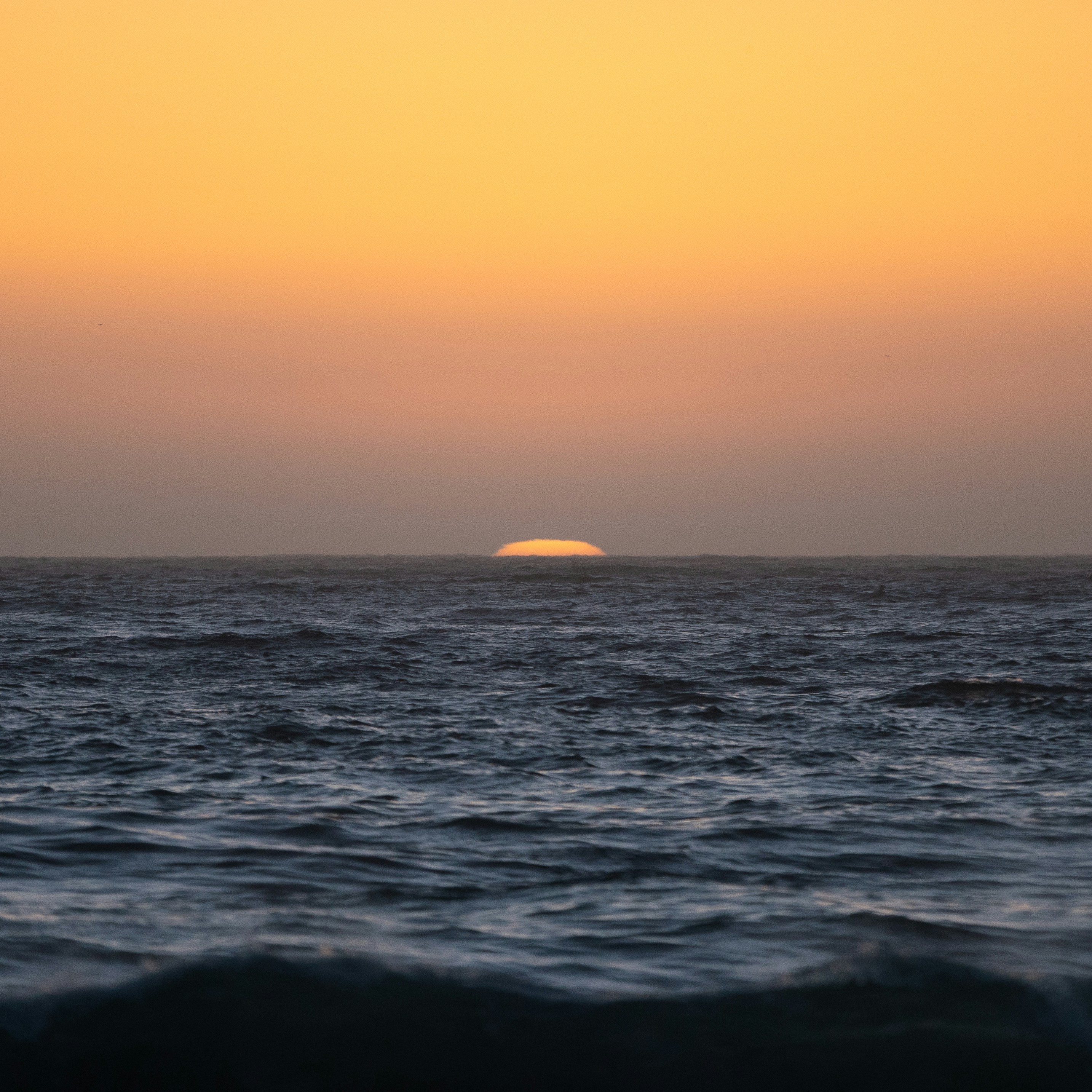 Photo by intricateexplorer