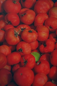 Ripe Red Tomatoes