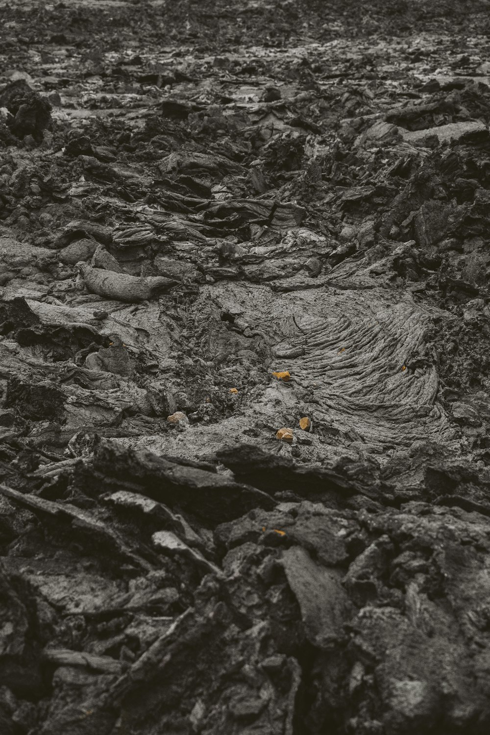 a black and white photo of a muddy field