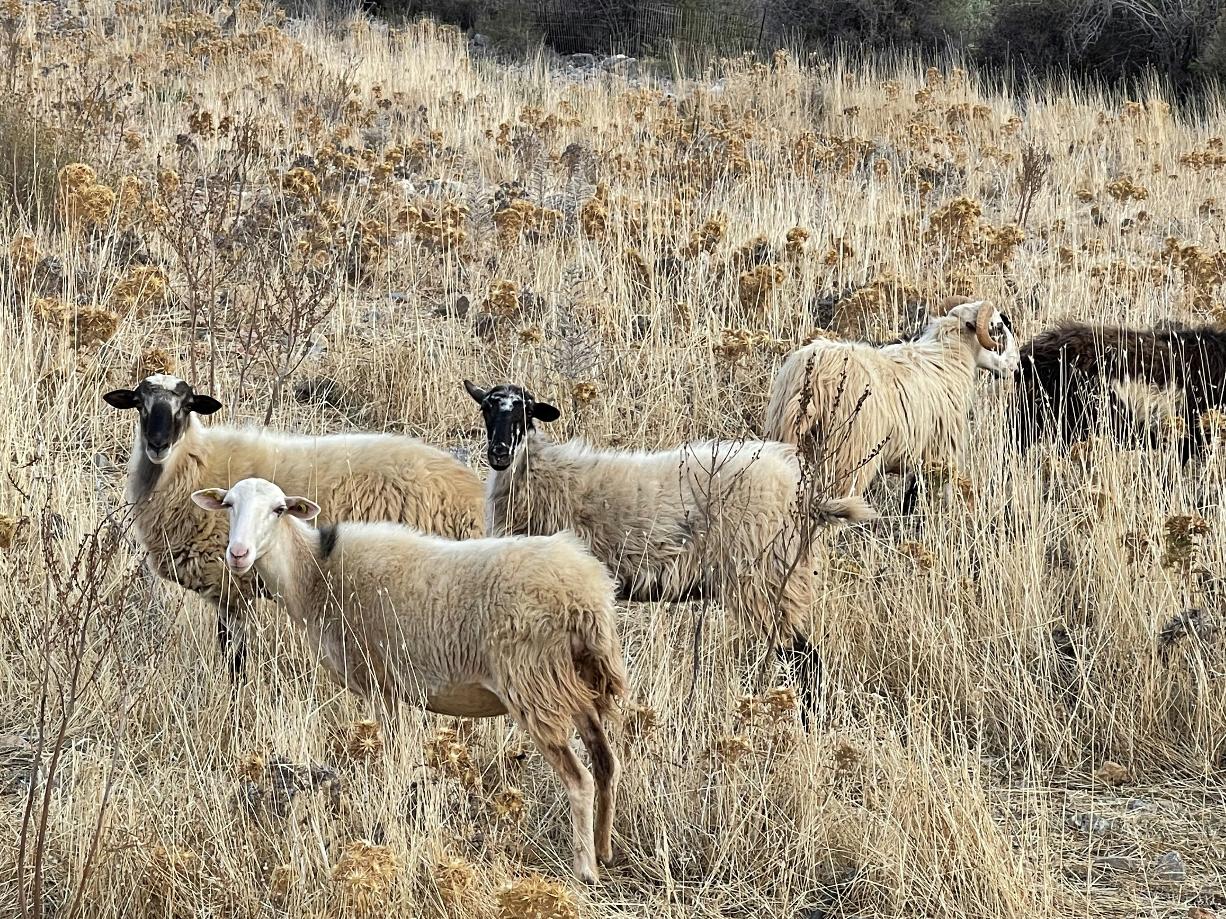 Photo by john_cameron