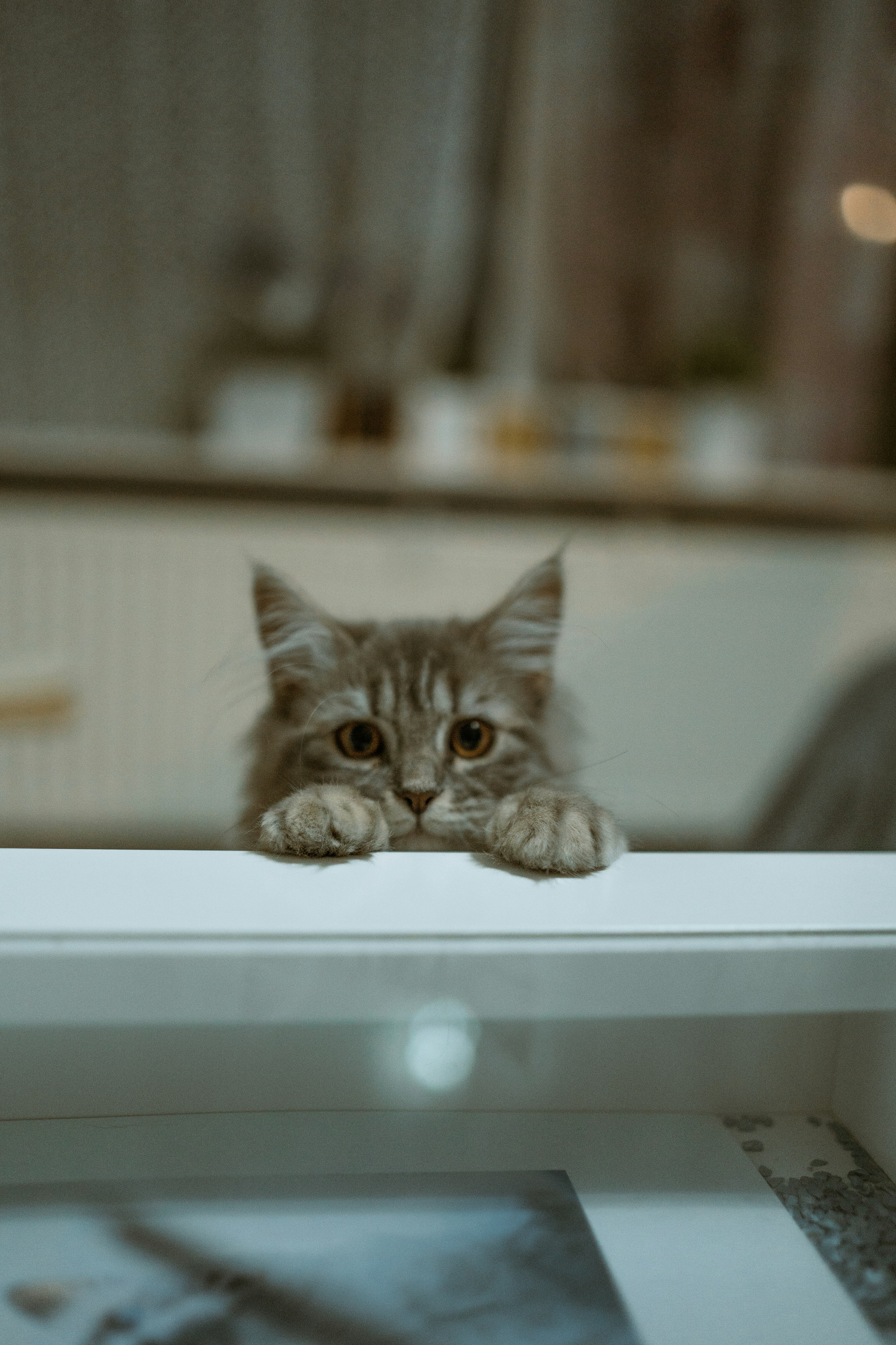 Photo by omarvellous14