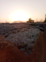 Close-up of a freshly poured concrete driveway with smooth finish and clean edges under warm sunlight.