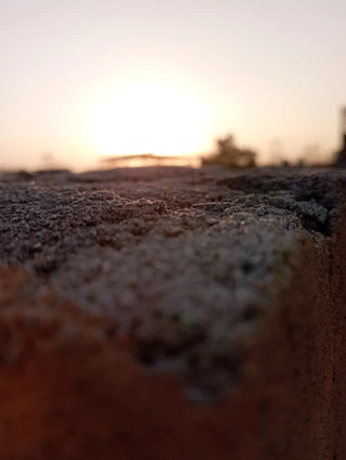 A close-up of a freshly poured concrete driveway with clean edges and smooth finish under warm sunlight.