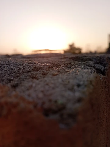 Close-up of a freshly poured concrete driveway with smooth finish and clean edges under warm sunlight.