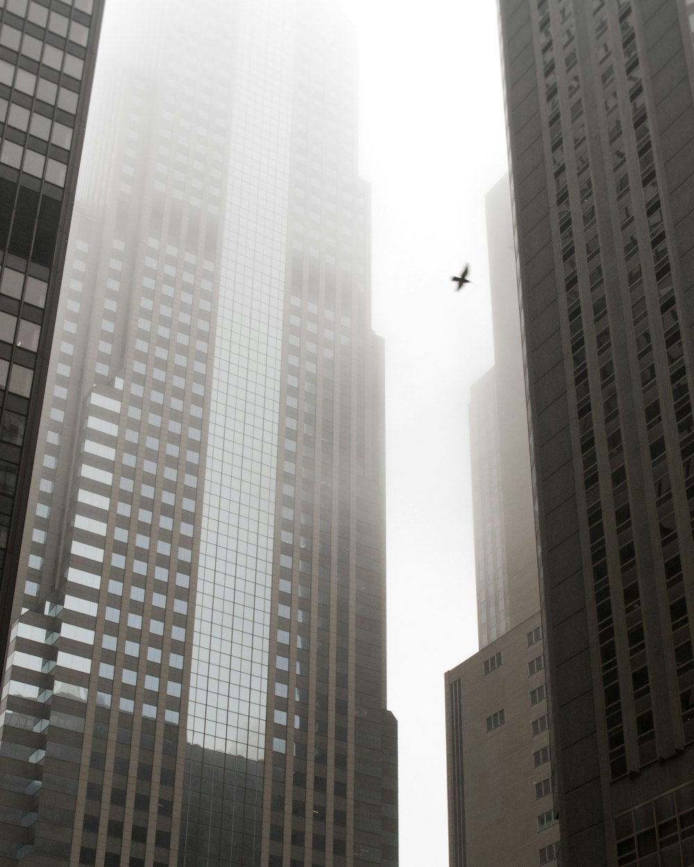 a plane flying through a foggy city with tall buildings