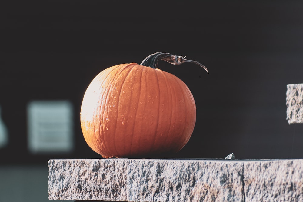 a pumpkin sitting on top of a cement block