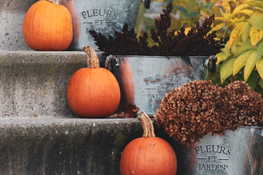 a bunch of buckets that have some pumpkins in them