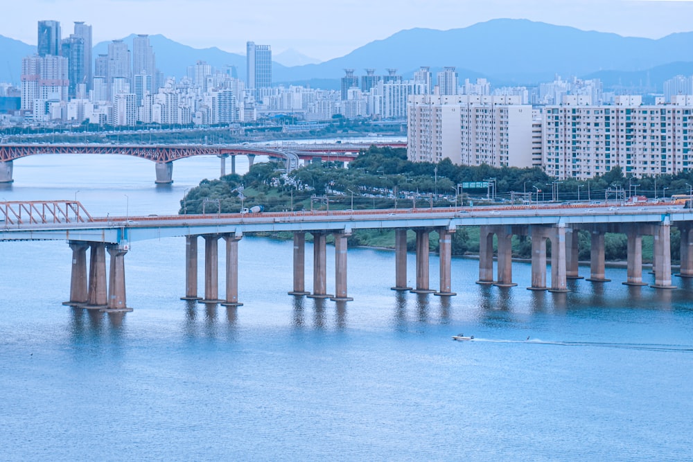 a bridge over a body of water with a city in the background