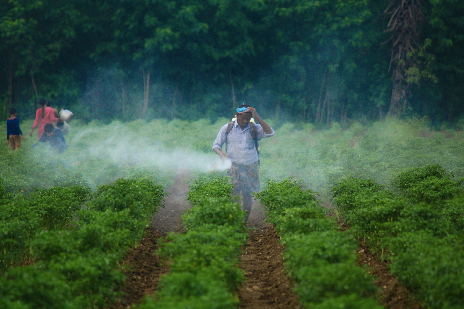 woman wearing yellow long-sleeved dress under white clouds and blue sky during daytime