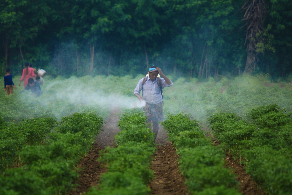 Un homme marchant dans un champ couvert de brouillard