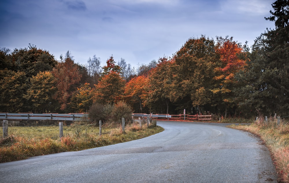 a road in the middle of a wooded area