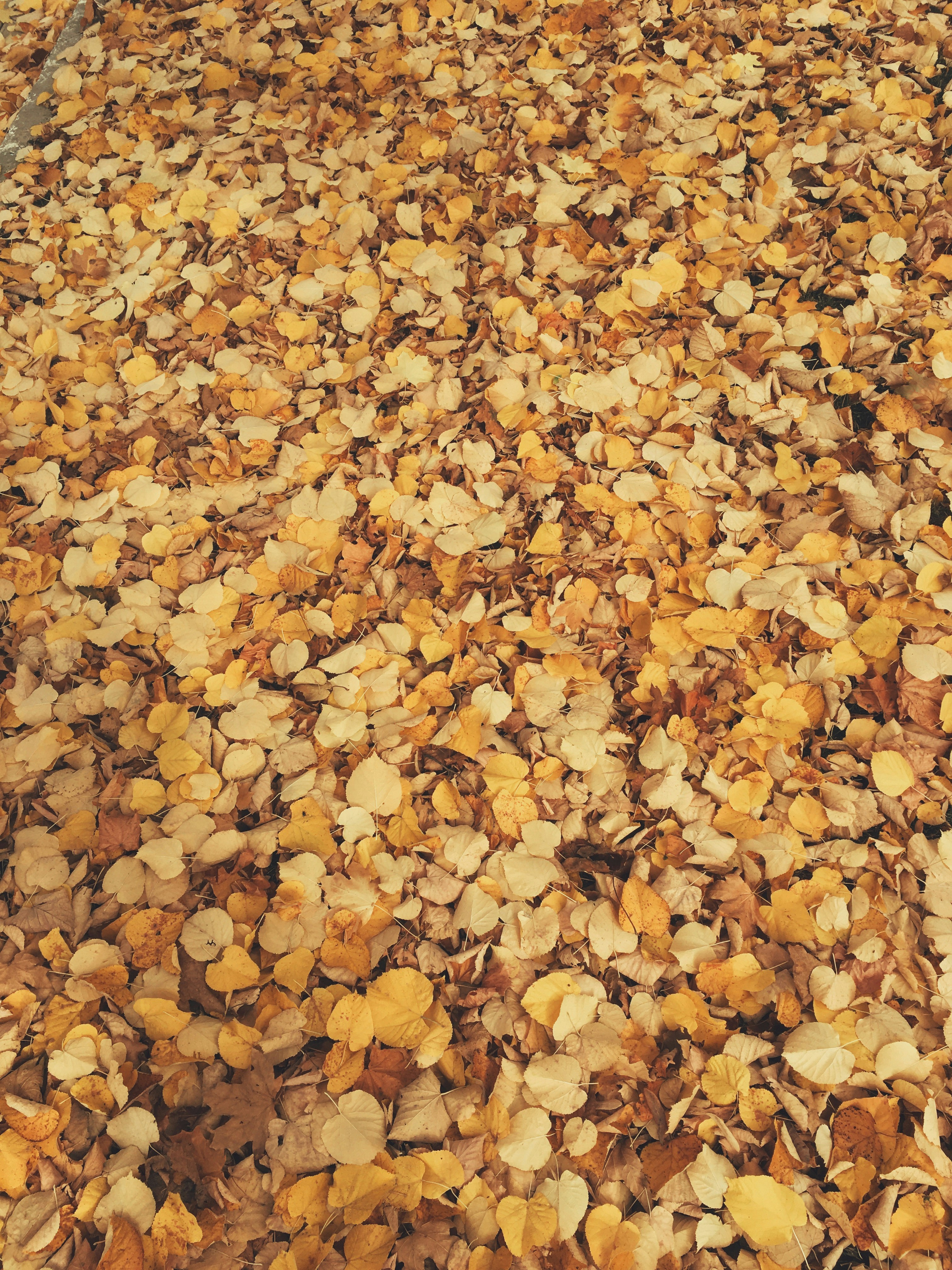 Photo by benjamindem