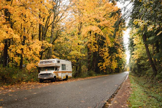 A camper van is parked by the side of a road surrounded by trees with vibrant yellow and green foliage on a rainy day. The road stretches into the distance, flanked by the autumn-colored forest. The ground is wet, and there are fallen leaves scattered around.